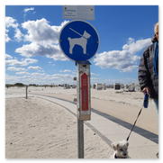 Hunde willkommen