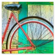 Ideal für Radfahrer